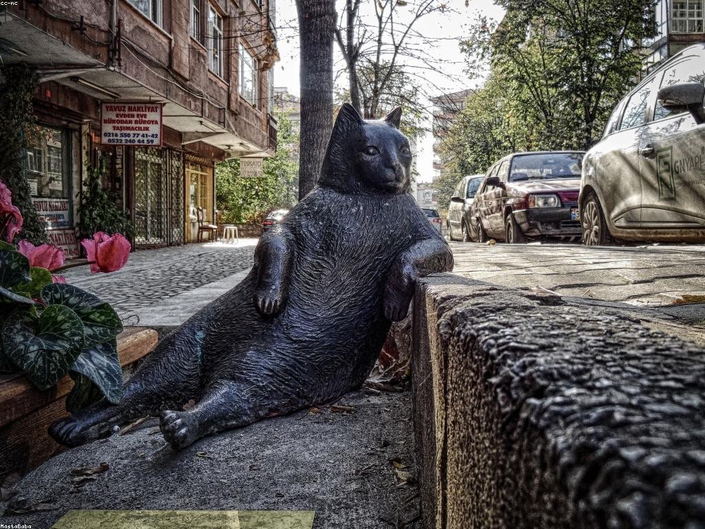 ការយល់ដឹងអំពីអត្ថបទពិសេស