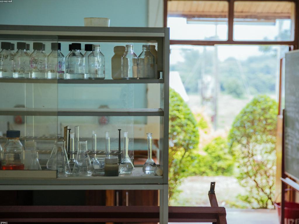 ការពិនិត្យលទ្ធផល: វិធីសាស្រ្ត និងសារៈសំខាន់